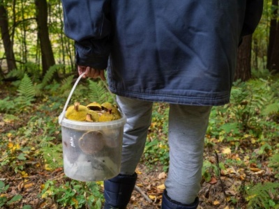 Niepokojące nagrania Lasów Państwowych. Przypominają grzyby, trują nawet kilkaset lat