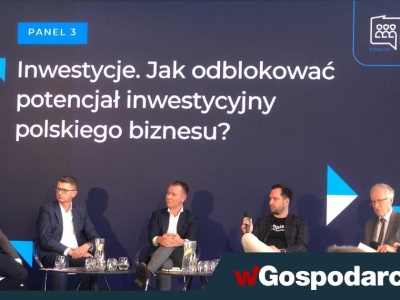 Forum Idee dla Polski: inwestycje w odwrocie