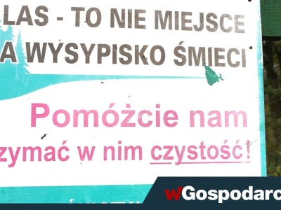 Lasy Państwowe kreatywnie wykorzystały SI