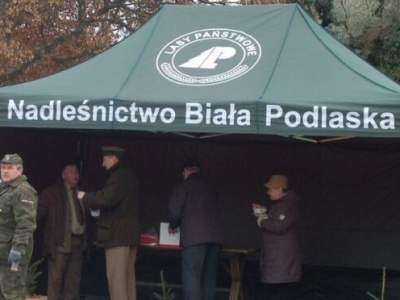 Idą masowe zwolnienia w Lasach Państwowych? Związkowcy zapowiadają protest