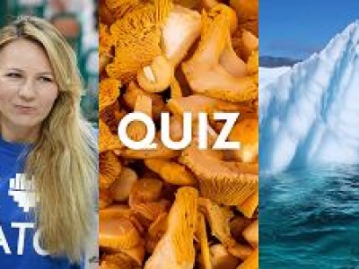 Ten quiz wiedzy ogólnej na literę G cię zagnie. Niewielu zdobywa komplet