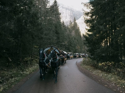 Wróci awantura ws. transportu konnego do Morskiego Oka? „Nie chcemy organizacji prozwierzęcych”