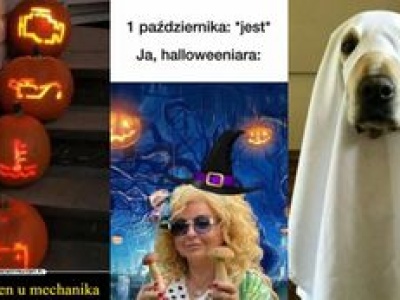 Halloween 2024. Taki ubaw, że aż STRACH! Zobacz najlepsze MEMY, które zrobili internauci