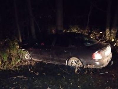 Pijany 53-latek uciekał przed policją. Skończył na drzewie