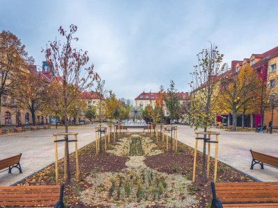 Zieleń zamiast twardej nawierzchni. Plac Baczyńskiego w Tychach w nowej odsłonie