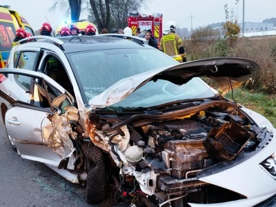 Samochód uderzył w drzewo. Dwie osoby trafiły do szpitala