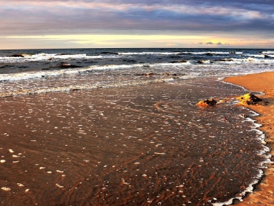 Bałtyk wyrzucił na plażę prawdziwe skarby. Szybko zebrały się tam tłumy. 