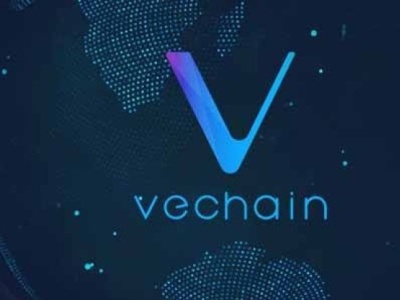 VeChain rośnie w siłę