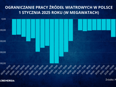 Nowy Rok przyniósł rekordowo niskie ceny. Tak taniego prądu jeszcze w Polsce nie było