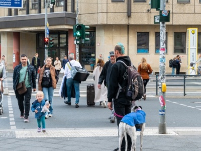 Płacą prawie 60 zł za godzinę. To najniższa krajowa od stycznia 2025. Polacy jeżdżą tu do pracy od lat