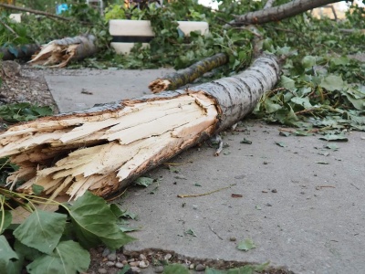 Muszą wieszać ostrzeżenia przed wejściem do parku. Tak w praktyce dotykają nas zmiany klimatu