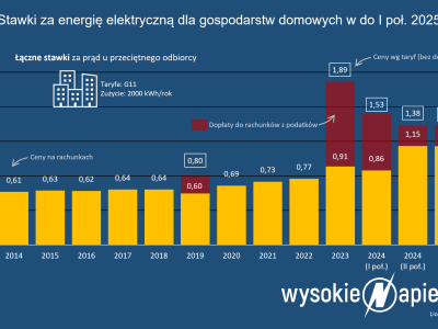 Czy rząd da nam niskie ceny prądu?