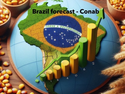 Brazylijskie stowarzyszenie producentów soi protestuje przeciwko regulacjom UE o wylesianiu