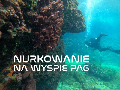 Nurkowanie na Wyspie Pag