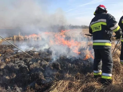 Kolosalne kary za wypalanie traw i nieużytków. Tyle zapłaci rolnik