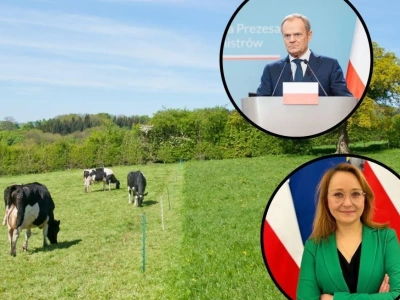 Ustawa łańcuchowa. Tusk popiera elektryczne pastuchy