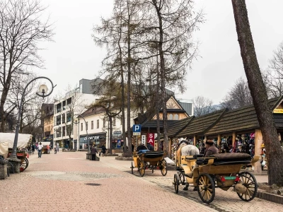 Ten zakaz rozwścieczy wiele osób. Zakopane ma dość rowerów i niskich cen