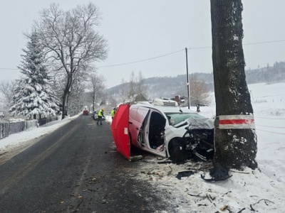 Mercedes Citan uderzył w przydrożne drzewo. Kierowca zmarł