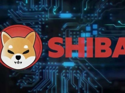 SHIBA nie zwalnia tempa