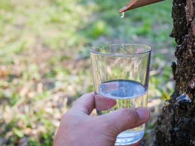 Nie przegap, wiele stracisz. Ten naturalny eliksir jest dostępny przez krótki czas