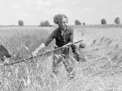 Od Winnicy przez Szwajcarską Dolinę do Weklic  [ Dawno temu ]