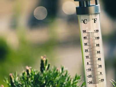 Jezioro Żabińskie zdradza historię temperatur z ostatnich 11 tysięcy lat