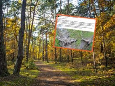 Natknęli się na niezwykłe znalezisko. Leśnicy pod wrażeniem