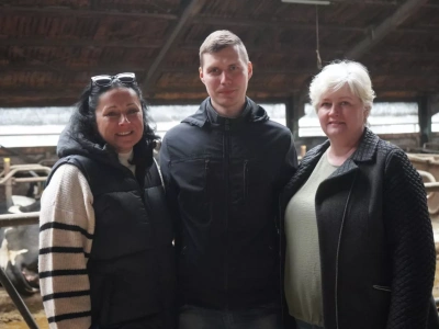 U rolników spod Aleksandrowa krowa żyją bezstresowo. Ile dają mleka?