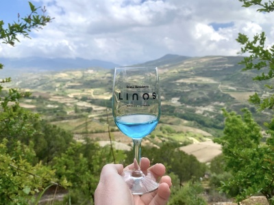 Winnica Linos – ukryty skarb u podnóża gór Troodos