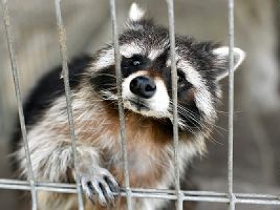 NIK wykazała poważne braki w Polsce. Urzędnicy ignorują 