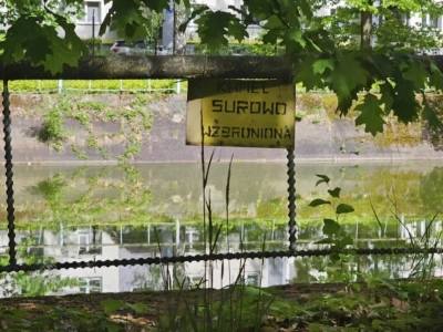 Południowy Koncern Węglowy sprzedaje działkę w Jaworznie
