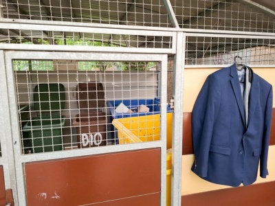 Mandat może dostać niemal każdy. Sprawdź, nim wyrzucisz