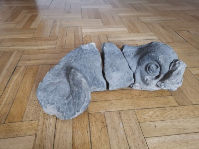Kamienny delfin – czy to kolejny element fontanny Neptuna?