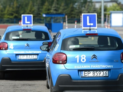 Prawo jazdy bez wizyty w urzędzie. Nowa platforma ułatwi formalności