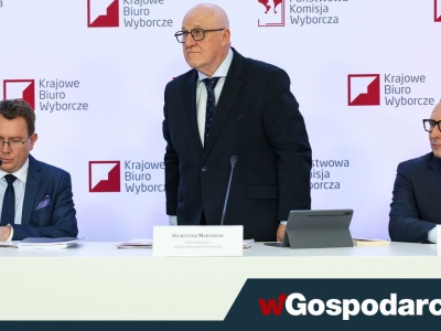 20,28 proc. wyborców już zagłosowało!