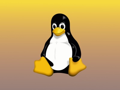 Linux 6.15 prawdopodobnie w przyszłym tygodniu. Potwierdza to Linus Torvalds