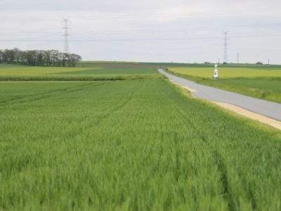 Rolnik może poddzierżawić ziemię z KOWR. Jak uzyskać zgodę?