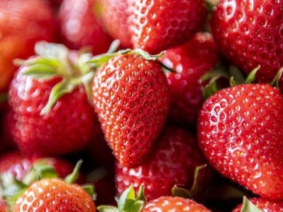 Drogie truskawki. Dużo taniej nie będzie
