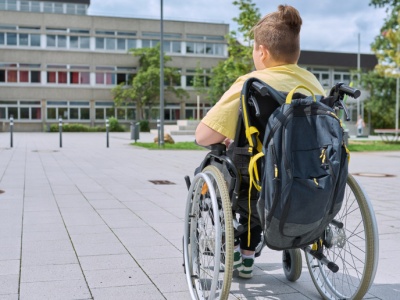 Przemoc rówieśnicza w środowisku szkolnym. Standardy ochrony do weryfikacji