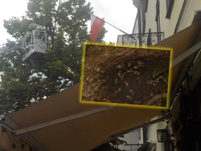 Pilna akcja strażaków na Śródmieściu. Rój pszczół „wisiał nad głowami”