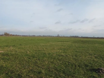 Rolnicy wściekli na nowe wymogi. Ale nie każdy musi się obawiać kar