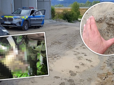 Niedźwiedzica z młodymi zaatakowała 49-latka na terenie firmy. Mężczyzna trafił do szpitala