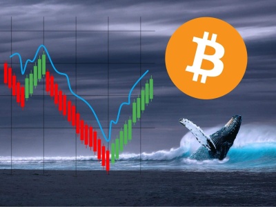 Wieloryby BTC zaczynają panikować? Ich aktywność w ostatnich dniach wiele wyjaśnia