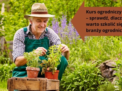 Zdobądź zawód przez Internet – na jaki kurs warto się zapisać?