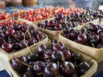 Wszystko jasne. Takie będą ceny czereśni w tym roku
