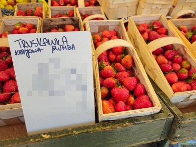 Ceny truskawek coraz przystępniejsze dla portfela. Sprawdź, ile teraz kosztują na targu – zdjęcia (26.05.2025)