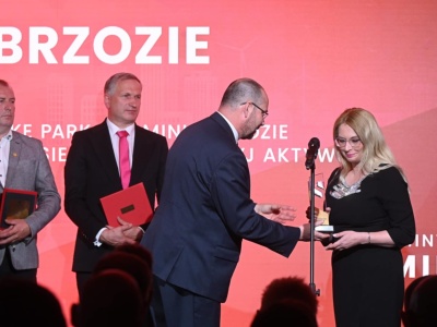 Kujawsko-pomorska gmina znów najlepsza w Polsce! Z czego słynie brodnickie Brzozie?