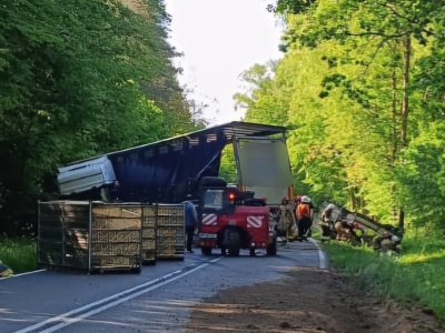 Ciężarówka z drobiem wywróciła się na DW541. Droga jest zablokowana