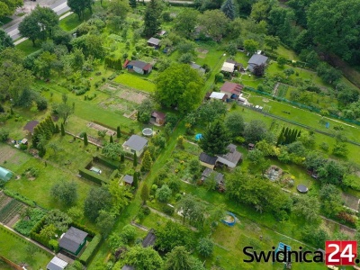 Przyznano dotacje dla rodzinnych ogrodów działkowych. Sprawdź, gdzie trafi miejskie wsparcie