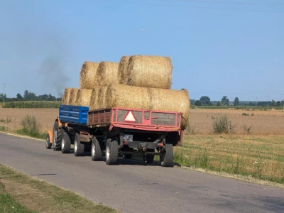 Ceny słomy przed żniwami 2025. Ile za kostkę, a ile za balot?